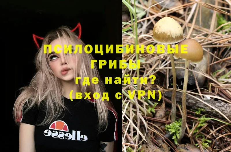 Галлюциногенные грибы Magic Shrooms  хочу   Белинский 